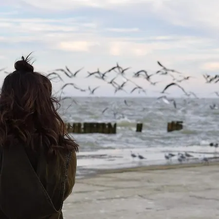 White Pearl 0.15 דירה טימנדורפר שטרנד