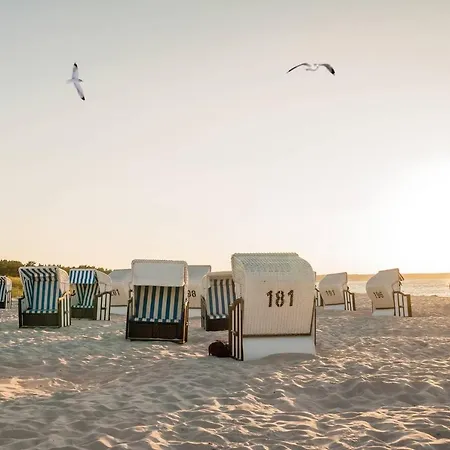 White Pearl 0.15 דירה *