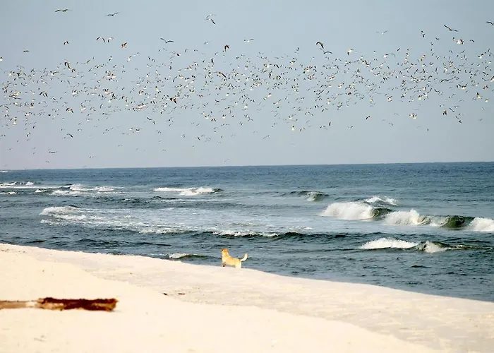 Διαμέρισμα White Pearl 0.15 *